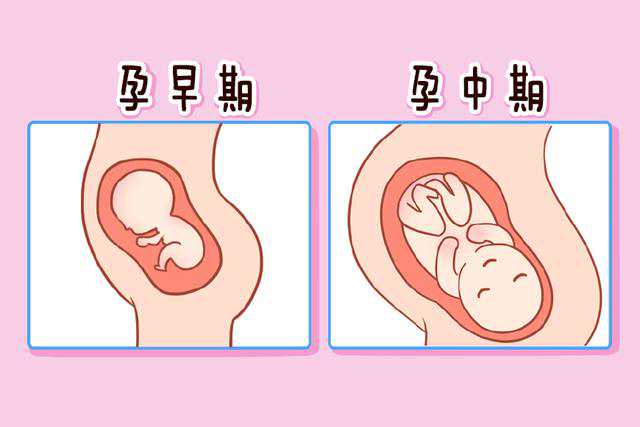 重庆私立医院供卵试管可靠吗安全吗知乎